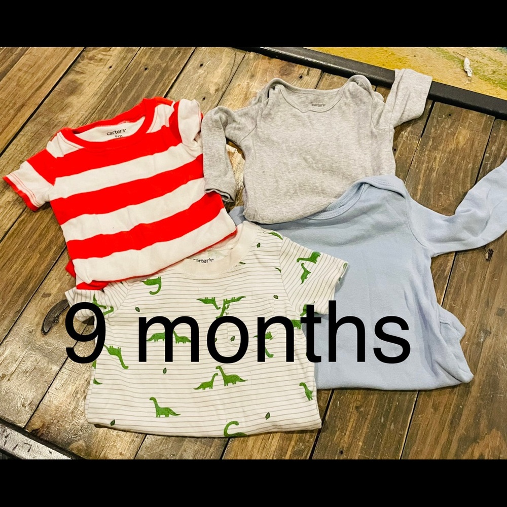 9 month onesie bundle. All Carters